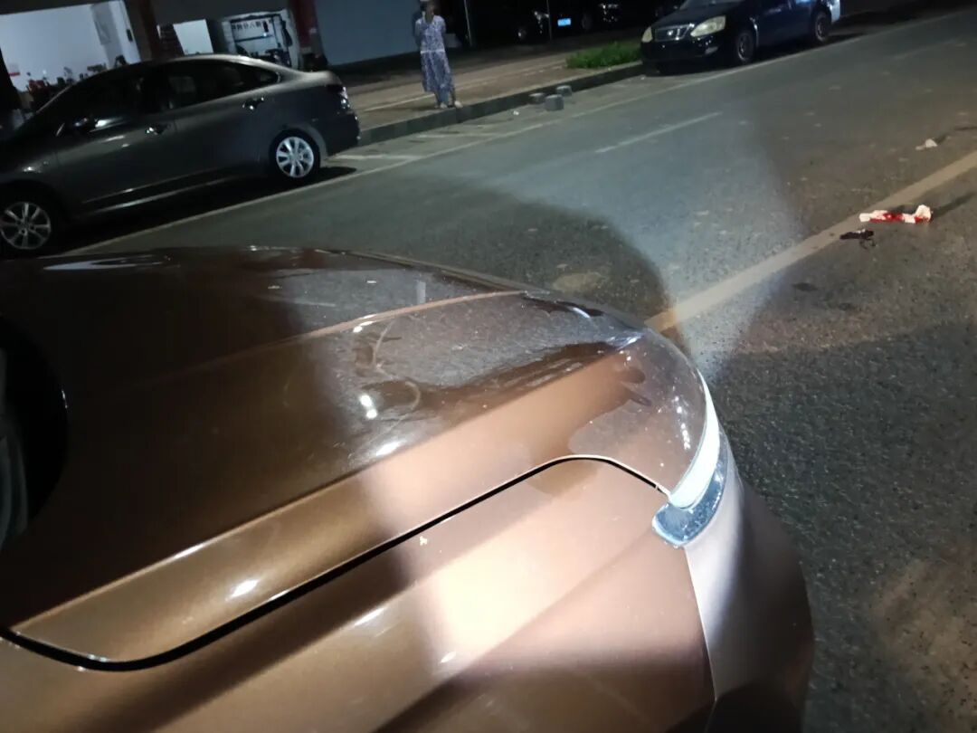 駕駛觀察禮讓行人_行車(chē)安全注意事項(xiàng)_路況