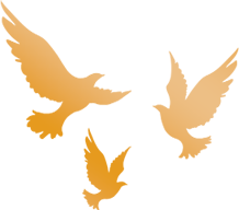 養(yǎng)護工區(qū)安全檢查_路況_公路養(yǎng)護月度考核