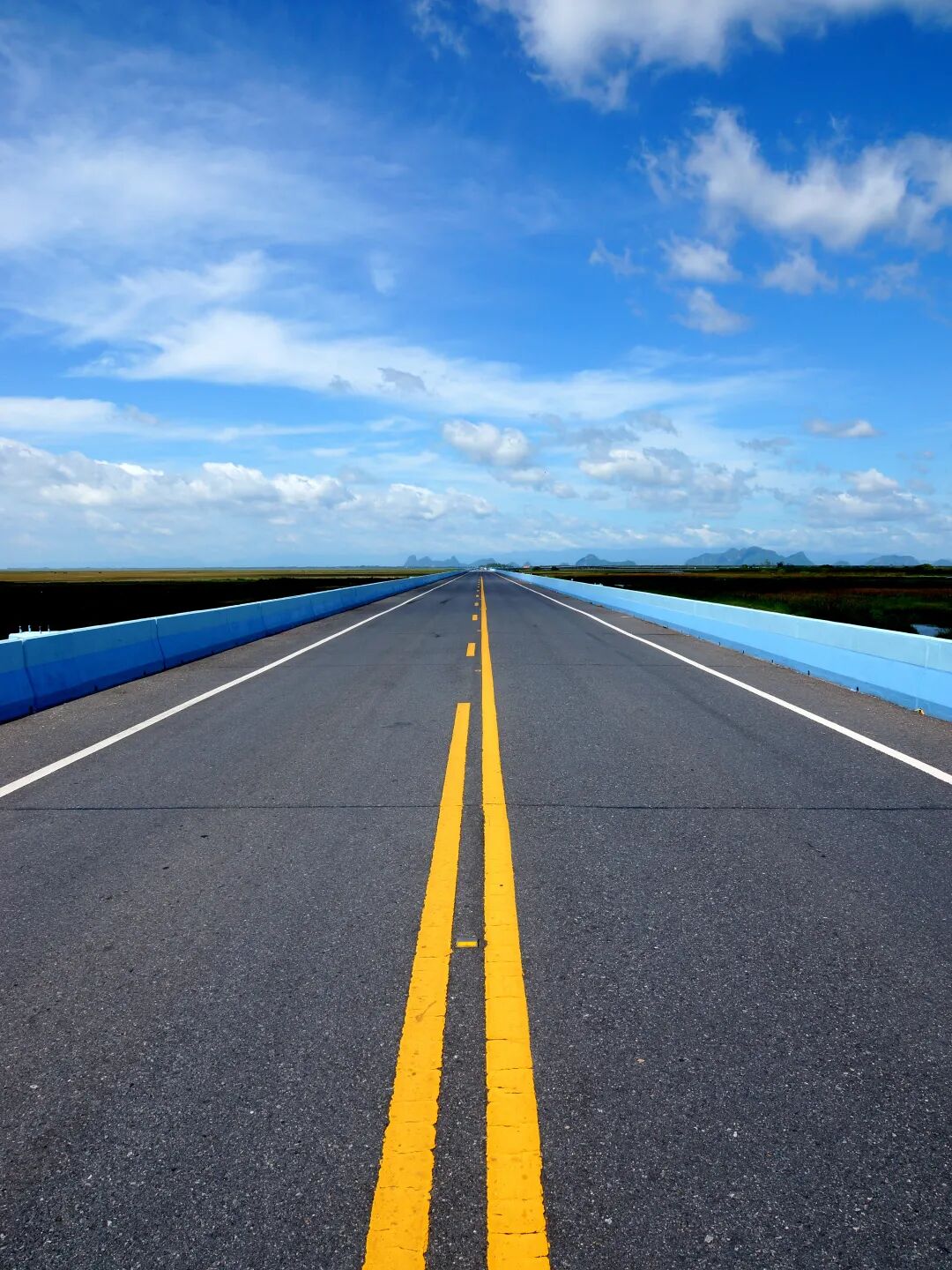 專業(yè)路況檢測(cè)_道路養(yǎng)護(hù)科技賦能_路況