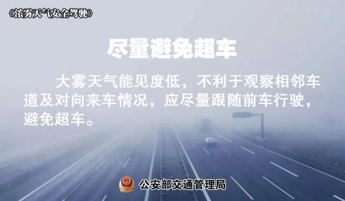 出行提示_霧天安全行車_大霧天氣駕駛技巧