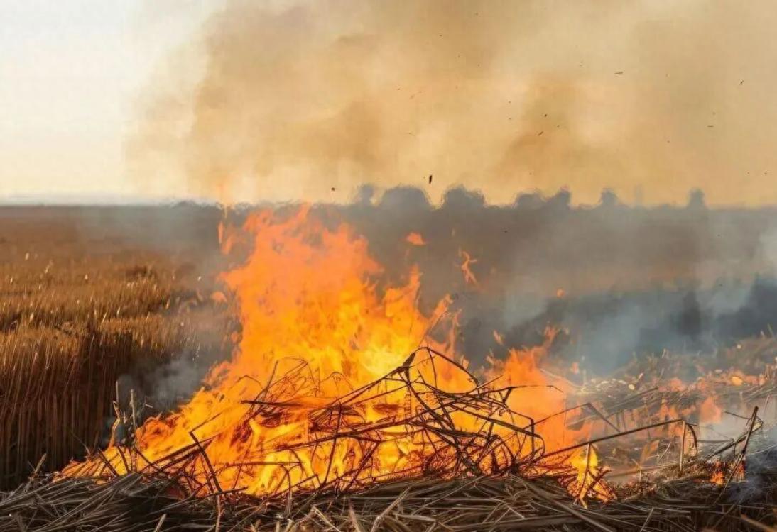 出行提示_高速公路禁燒規(guī)定_秸稈焚燒危害