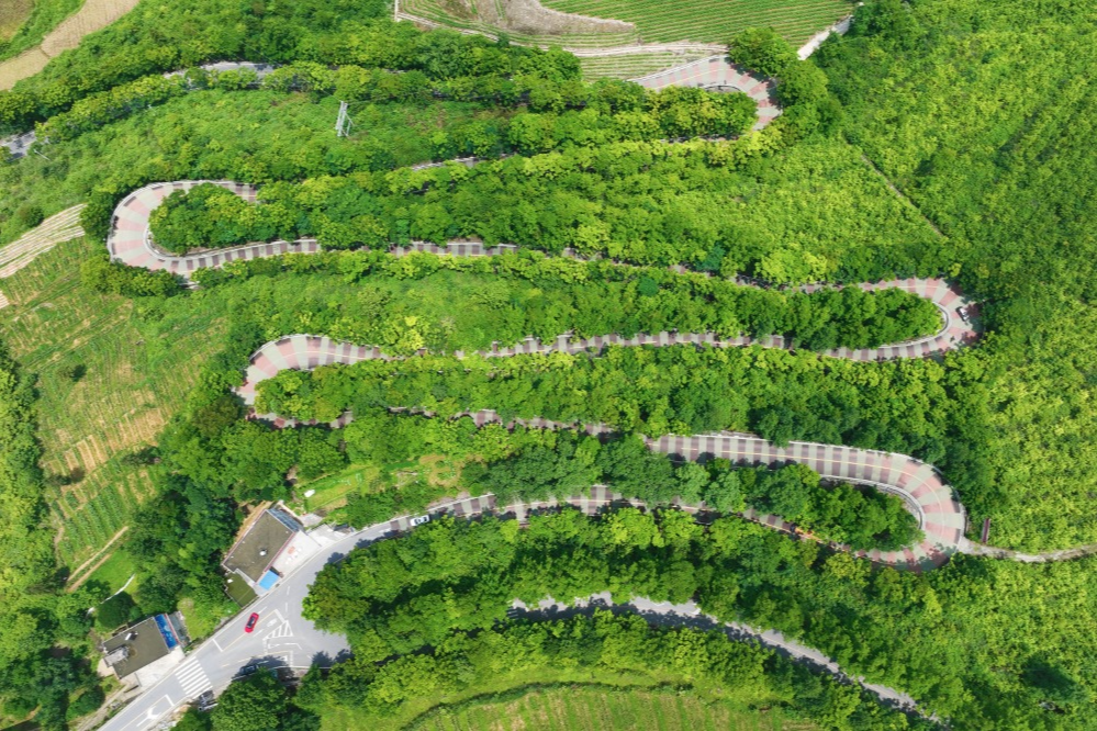 出行提示_農(nóng)村道路交通安全提示_駕駛?cè)顺鲂邪踩?/></p></div>
    <div   id="1j8knsvnk"   class="clearfix"></div>
        <h5 class="post-tags"><span id="1j8knsvnk"    class="glyphicon glyphicon-tags"></span> <a href="http://www.glecookware.com/tags-7357.html" title="農(nóng)村交通安全">農(nóng)村交通安全</a><a href="http://www.glecookware.com/tags-2648.html" title="交通安全提示">交通安全提示</a><a href="http://www.glecookware.com/tags-8805.html" title="駕駛?cè)税踩?>駕駛?cè)税踩?/a><a href="http://www.glecookware.com/tags-6889.html" title="行人安全">行人安全</a><a href="http://www.glecookware.com/tags-8806.html" title="黔江交警">黔江交警</a></h5>
        <div   id="1j8knsvnk"   class="alert alert-info p-copyright" role="alert">
        <p> 本站文章除注明轉(zhuǎn)載/出處外，均為本站原創(chuàng)或翻譯。若要轉(zhuǎn)載請(qǐng)務(wù)必注明出處，尊重他人勞動(dòng)成果共創(chuàng)和諧網(wǎng)絡(luò)環(huán)境。 </p>
        <p> 轉(zhuǎn)載請(qǐng)注明 : 文章轉(zhuǎn)載自 ?<a href="http://www.glecookware.com/" rel="bookmark" title="作者：admin"> 途訊交通網(wǎng) </a>?<a href="http://www.glecookware.com/txfl-3.html" rel="bookmark" title="網(wǎng)站分類：出行攻略與工具"> 出行攻略與工具 </a> ?<a href="http://www.glecookware.com/tx/13597.html" rel="bookmark" title="本文固定鏈接：http://www.glecookware.com/tx/13597.html"> 10月16日黔江民警做客欄目解讀農(nóng)村道路交通安全要點(diǎn) </a> </p>
    </div>
    <div   id="1j8knsvnk"   class="clearfix"></div>
    <ul class="post-share-tools">
        <li><a href="javascript:;" class="share-tools praise" xv=