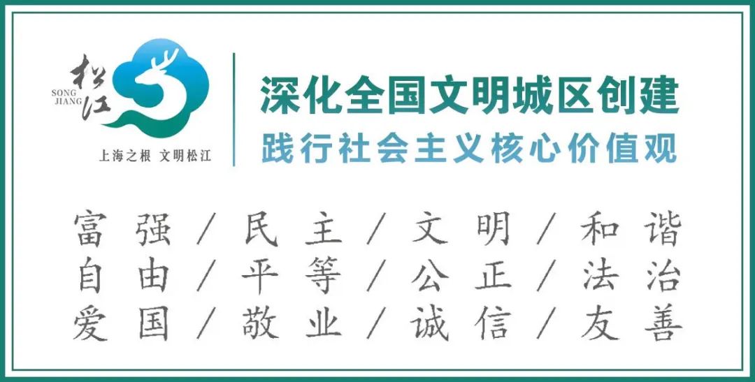 郊區(qū)道路事故預(yù)防_出行提示_清明2025年交通安全風(fēng)險(xiǎn)分析