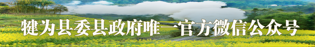 雨天駕駛注意事項_雨季行車安全指南_出行提示