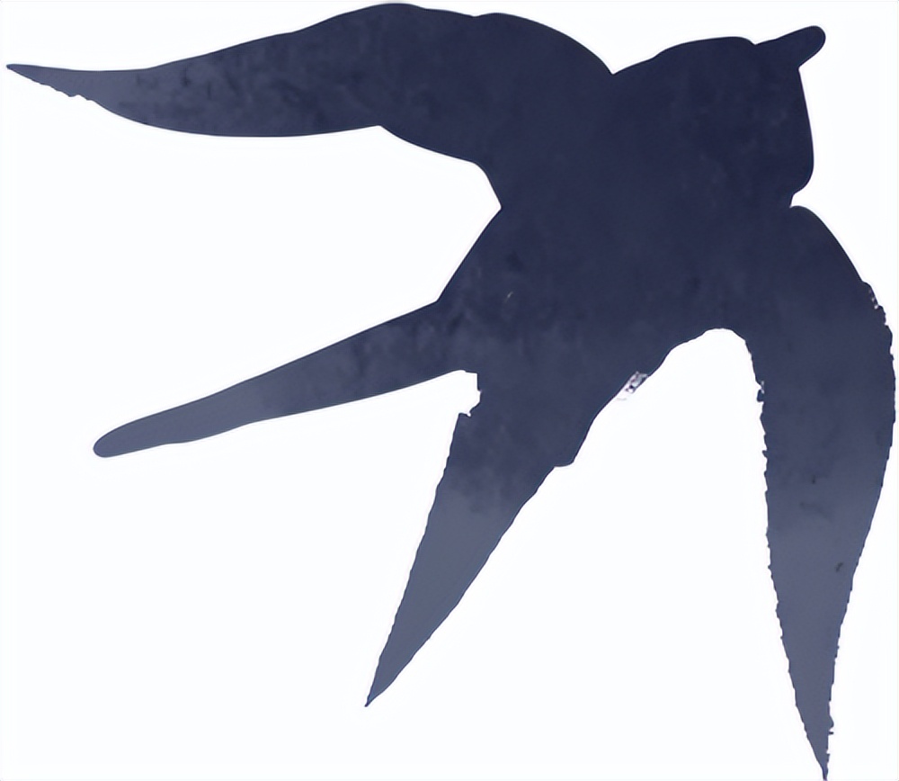 秋季雨霧行車(chē)安全_出行提示_雨霧天氣駕駛注意事項(xiàng)