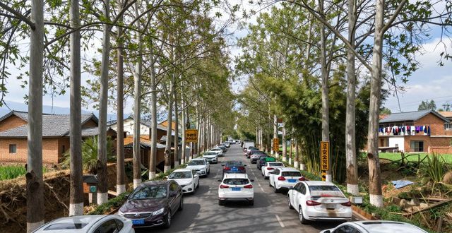 開遠(yuǎn)清明節(jié)易擁堵路段_出行提示_開遠(yuǎn)清明節(jié)交通出行提示