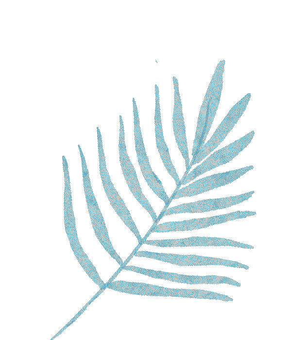 冬季行車安全_雪天駕駛技巧_出行提示