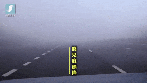 出行提示_霧天行車安全注意事項_大霧天氣駕車安全指南